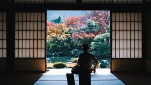 Logistics Guide to the Tadami Line: Timing Your Shoot Right